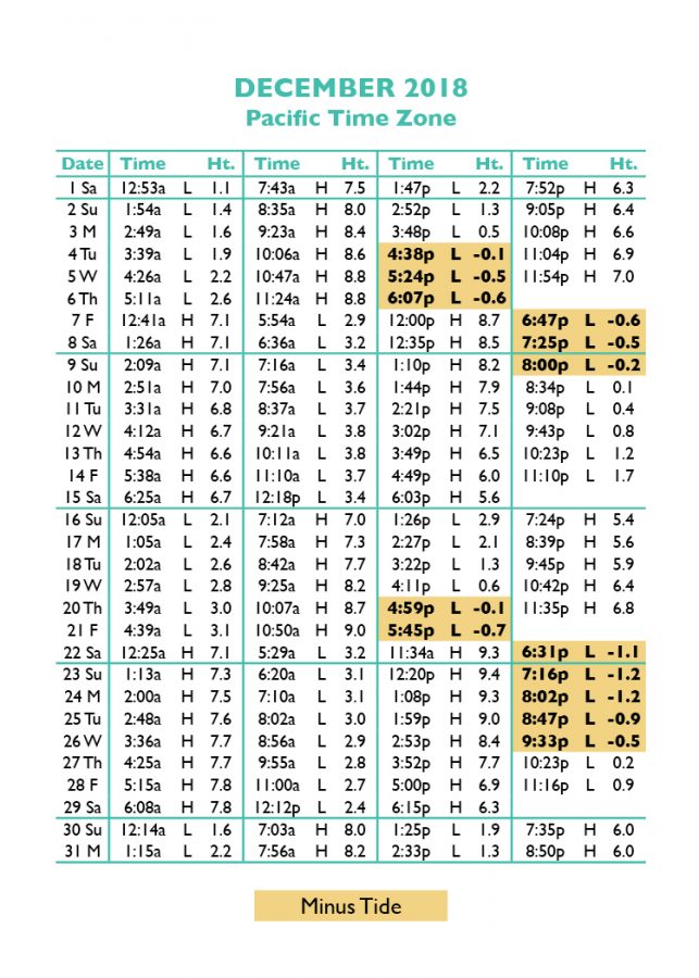 Tide Chart Texas City