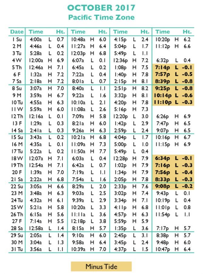 Seaside Park Tide Chart 2018