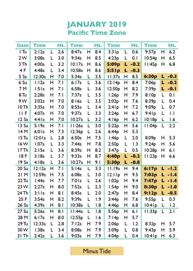 Tide Tables in Seaside, Oregon's favorite vacation destination