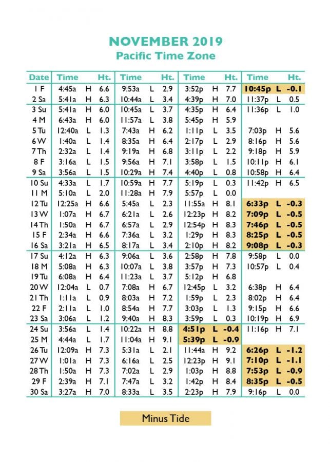 Seaside High Tide Chart