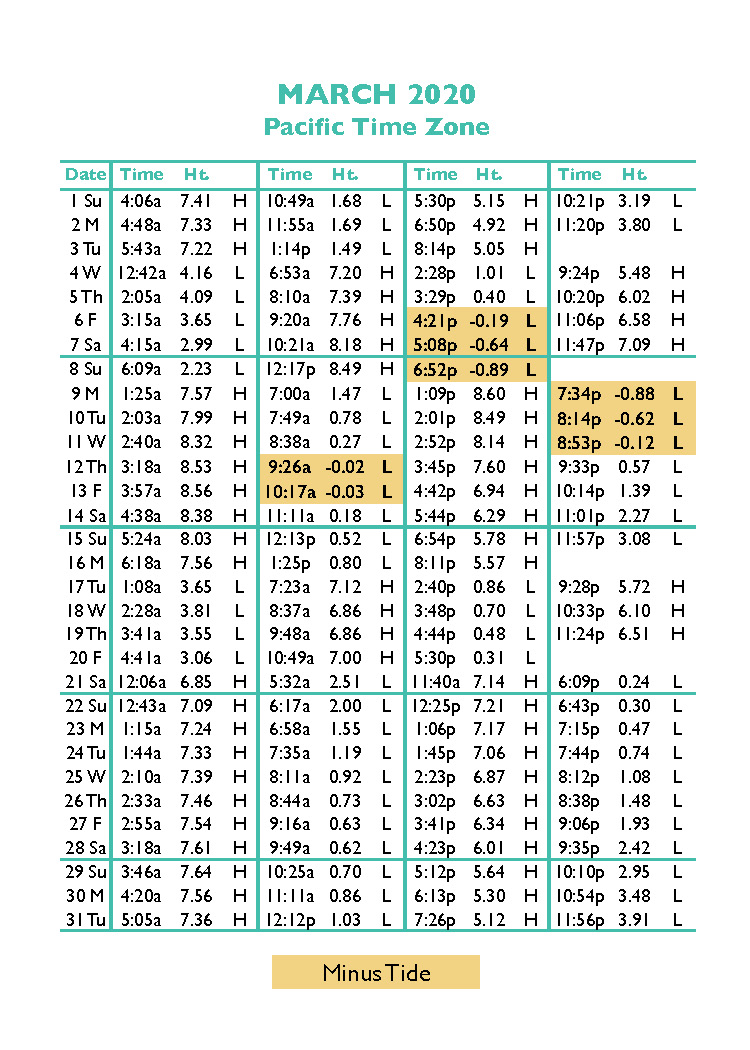 Morehead City Tide Chart