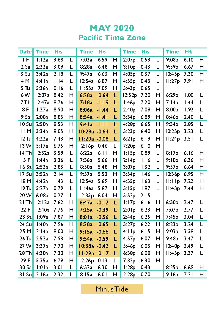 Seaside Tide Charts Oregon