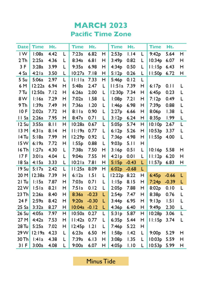 Tide Tables in Seaside, Oregon's favorite vacation destination