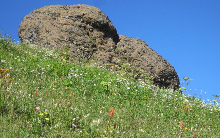 Saddle Mountain: Oregon State Parks
