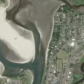 Earth Day Necanicum Estuary Park Clean up day