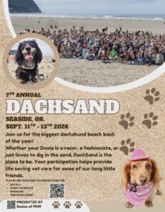 DachSand Beach Takeover in Seaside, Oregon.