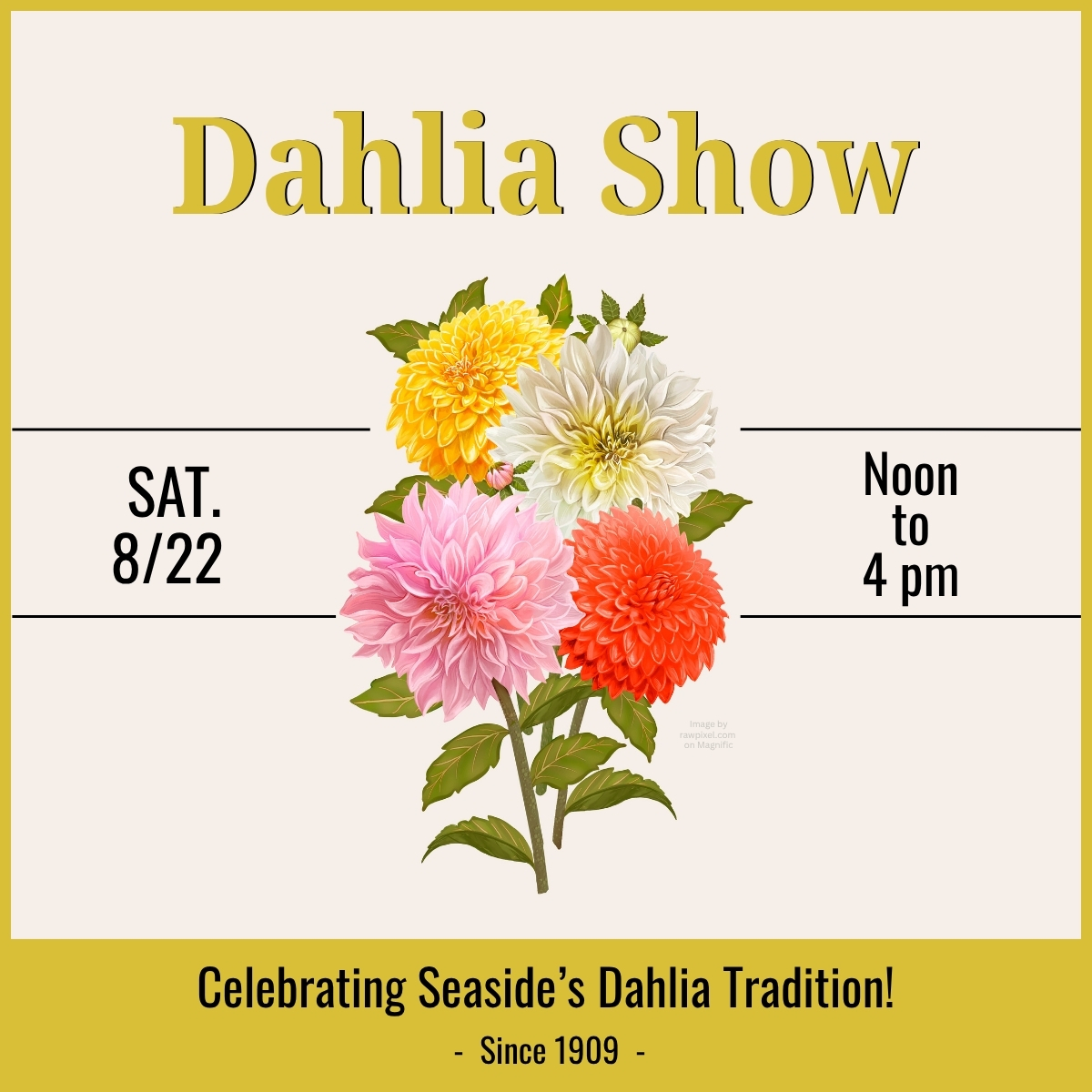 Seaside Dahlia Show at the Seaside Museum in Seaside, Oregon