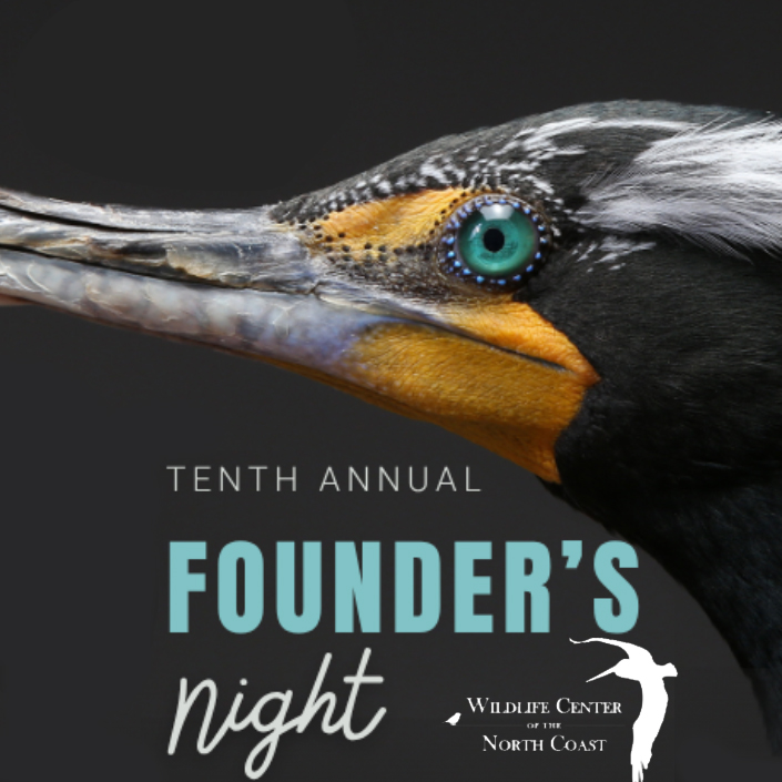 10th Annual Founders Dinner for the Wildlife Center of the North Coast in Seaside, Oregon