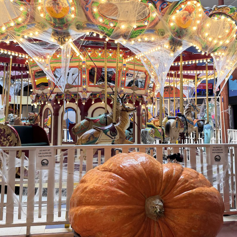 Giant Pumpkin for Halloween Happenins' 2 day annual event in Seaside, Oregon